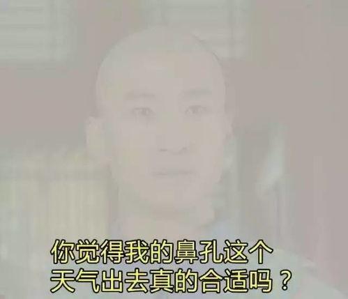 聚众吸毒表情包