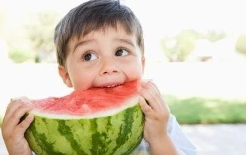 吃瓜搞笑系统娱乐圈小说